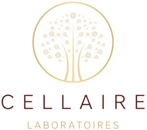 logo_ ellaire